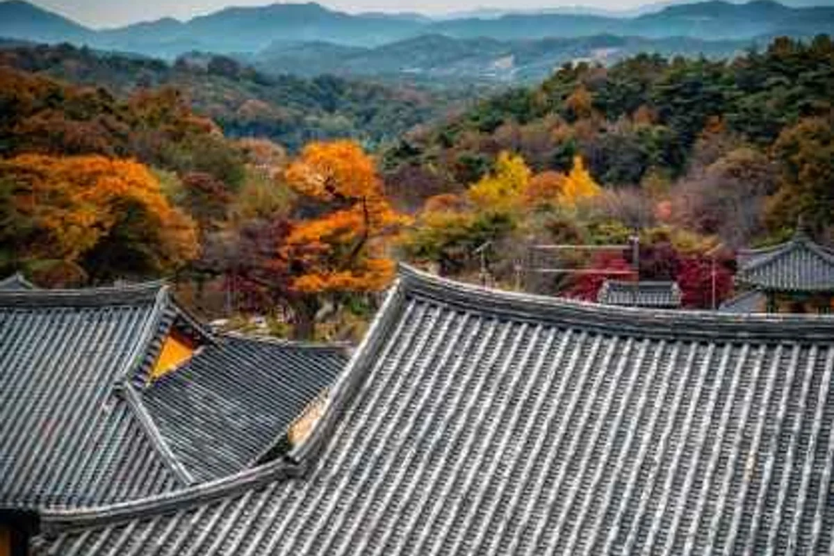 정동체험마을 - 세종여행 여행