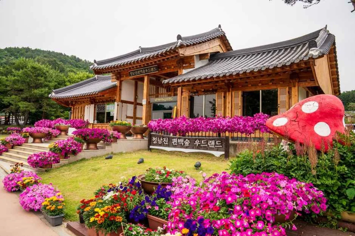 정남진 편백숲 우드랜드 - 장흥여행 여행